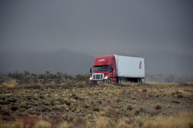 truck VIN check,Truck vehicle history