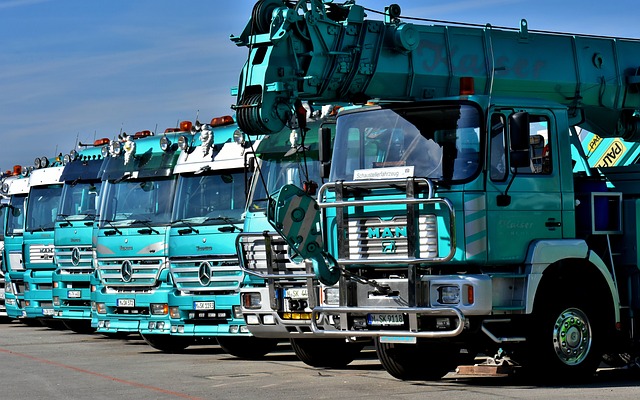 VIN Plates: Uncovering Truck History for Enhanced Safety and Compliance