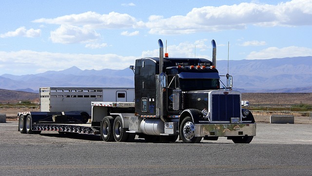 Truck VIN Validation,Truck VIN Check