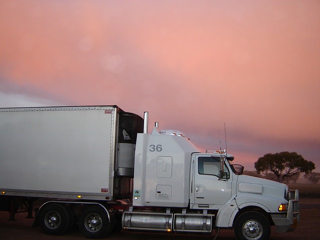 truck VIN check,Truck vehicle history