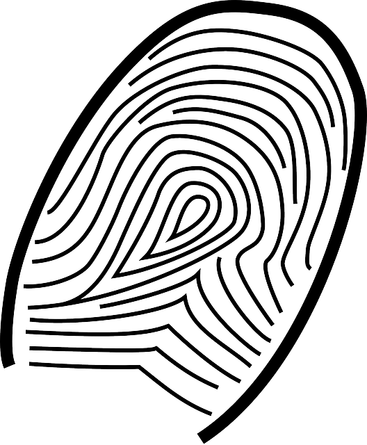 VIN Decoder,Vehicle Identification