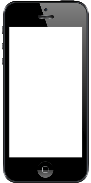 DMV registration renewal status phone