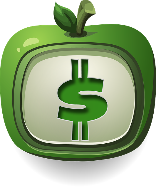 DMV financial responsibility program