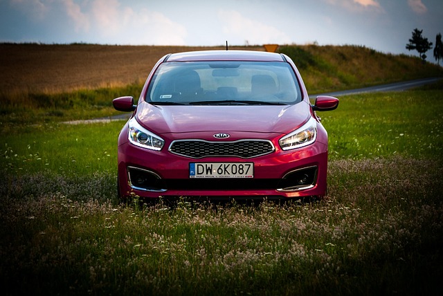 Personalize Your Plates: Quick Auto Tags Replacement Online