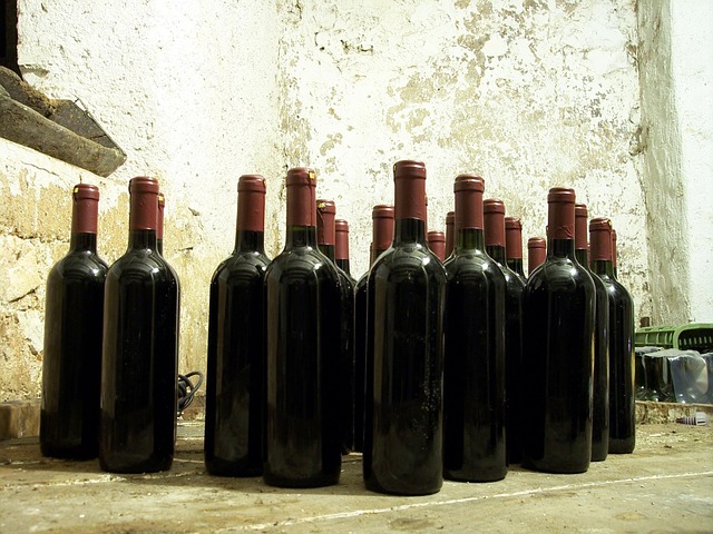 CHP VIN verification
