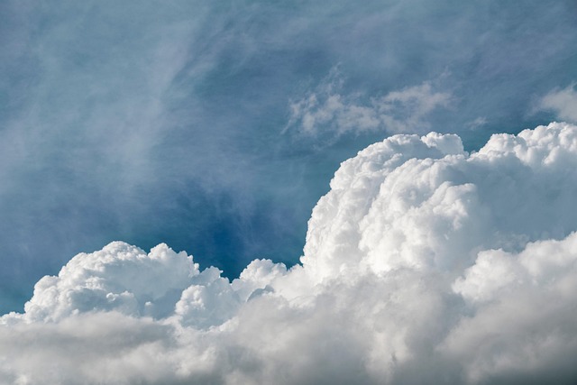 Clear VLT stop