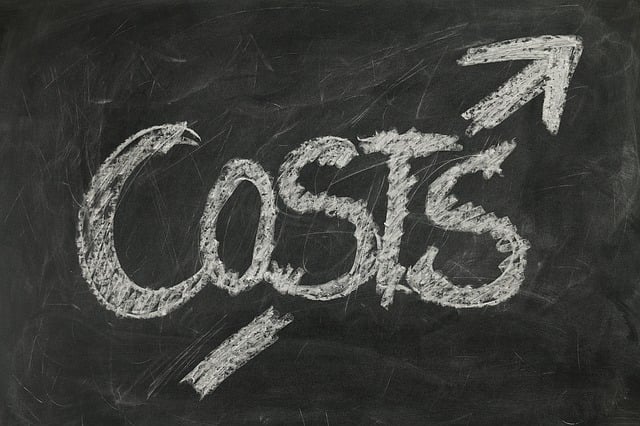 Damaged title replacement cost