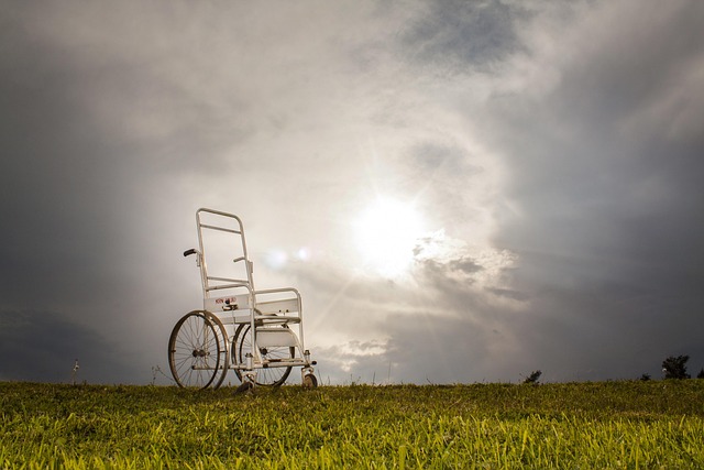 Disabled placard replacement fees