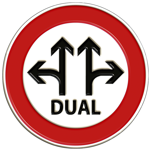 Duplicate title