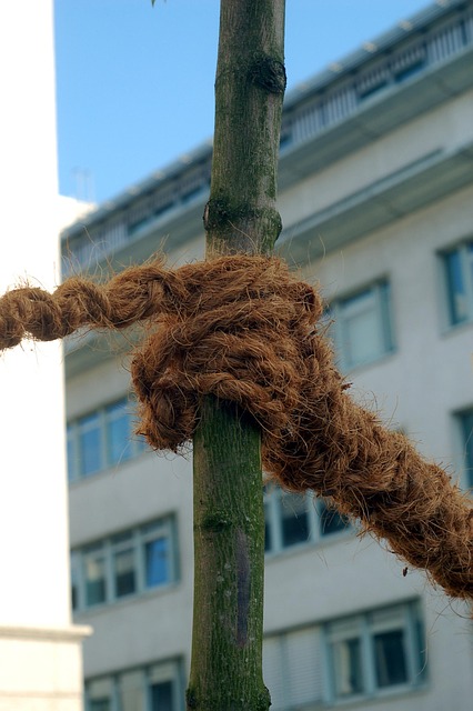 Schedule Site Assessment: Address Lienholder Issues for Title Bond