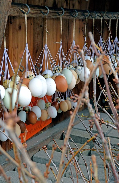 Long lien sale processing time