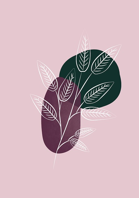 REG 343 form