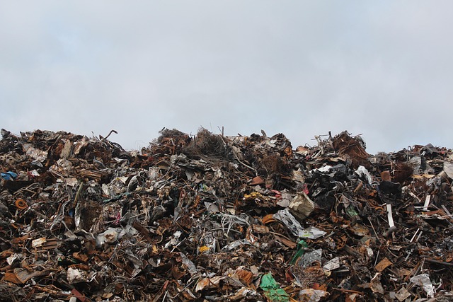 Temporary operating permit for junk