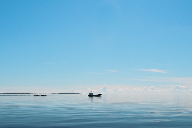 Guide to Efficient Vessel Certificate Replacement