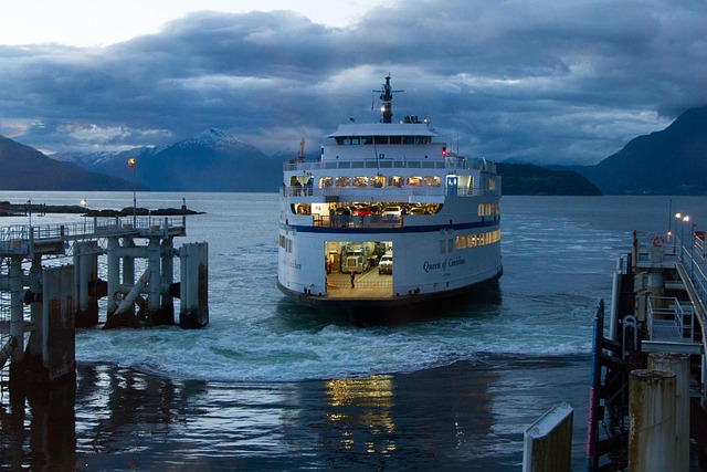 Vessel certificate replacement