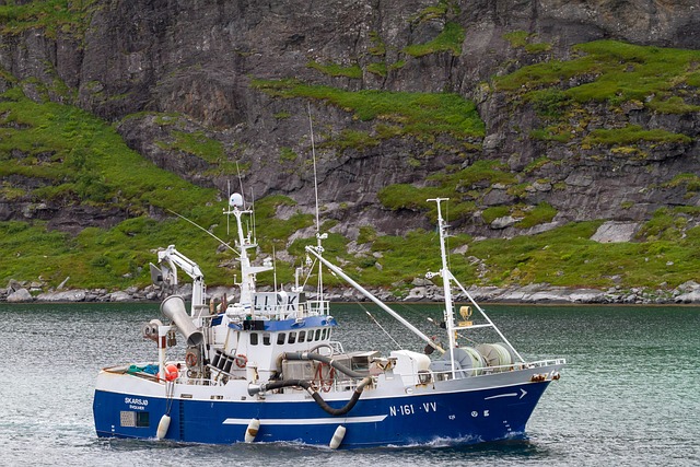 Vessel certificate replacement