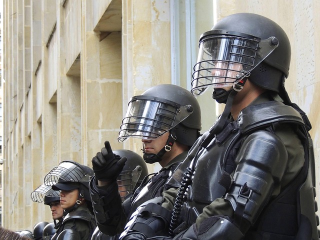 CHP VIN verification special unit