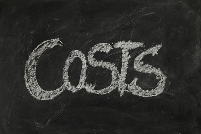 Damaged title replacement cost