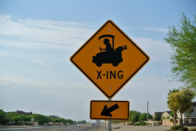 Disabled placard replacement