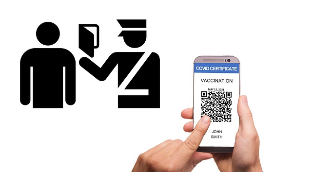 Salvage certificate verification