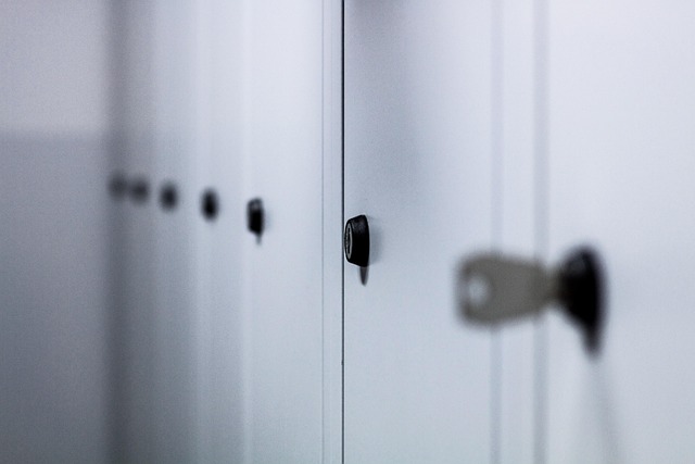 Storage facility lien