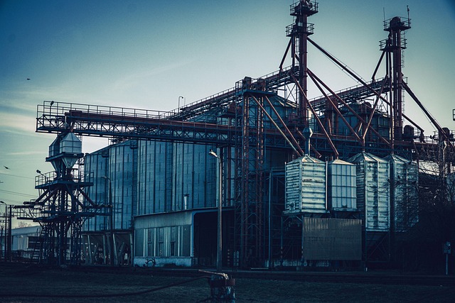 Storage facility lien