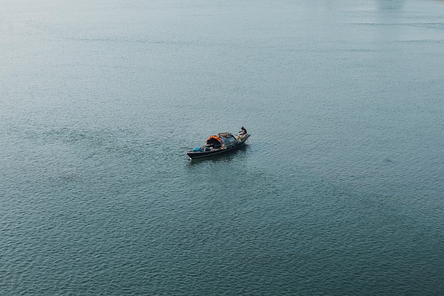 Vessel certificate replacement