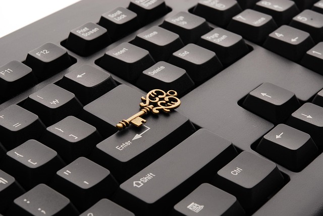 Avoid DMV title transfer online
