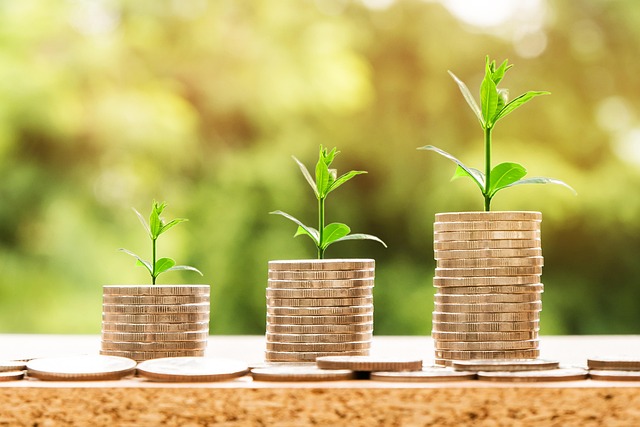 DMV financial responsibility program