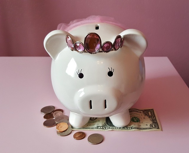 DMV financial responsibility program