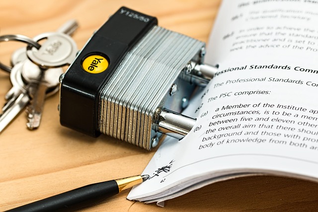 Mastering Professional Document Review and Notarization