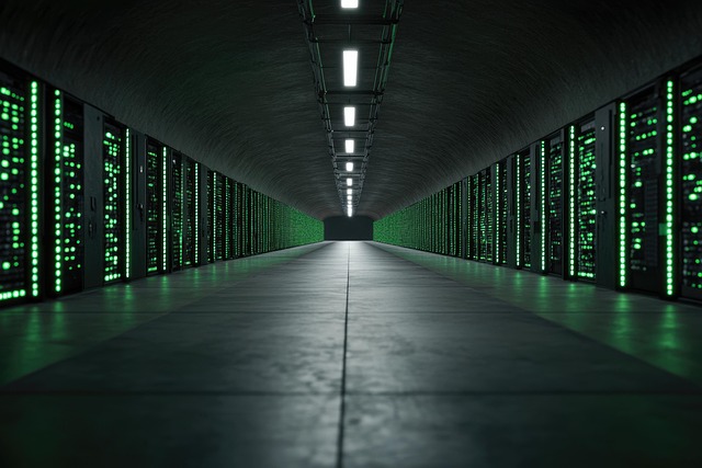 Storage facility lien