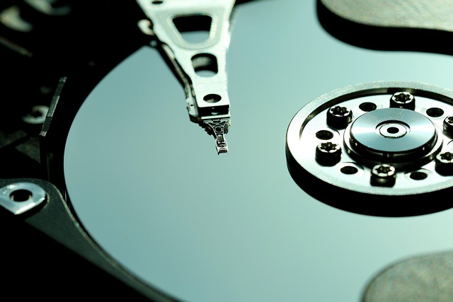 Storage facility lien