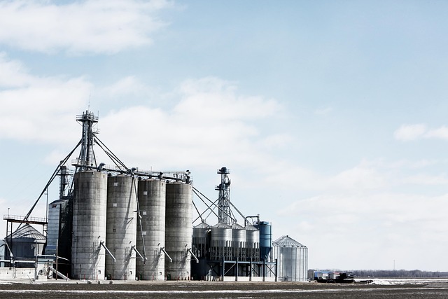 Storage facility lien