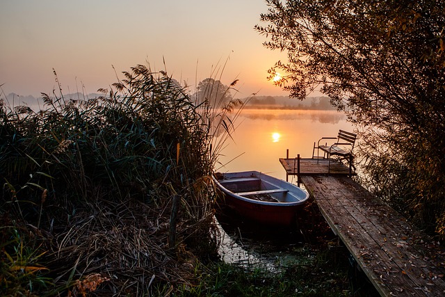 Vessel certificate replacement