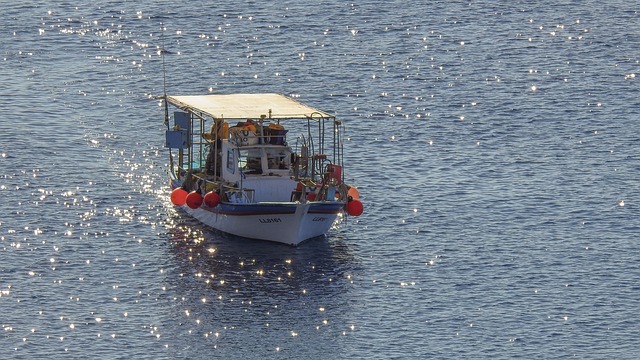 Vessel certificate replacement