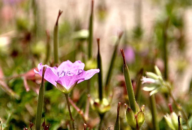 Avoid DMV lines