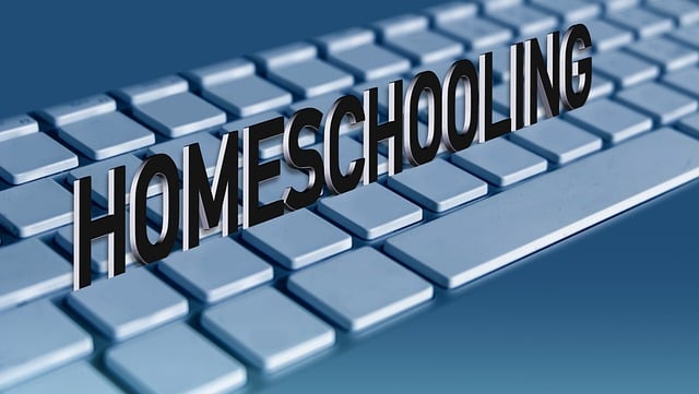 Avoid DMV title transfer online
