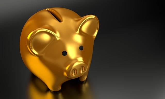 DMV financial responsibility program