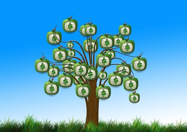 DMV financial responsibility program