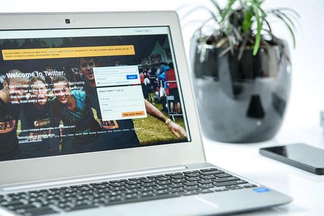 Nontransferable title registration
