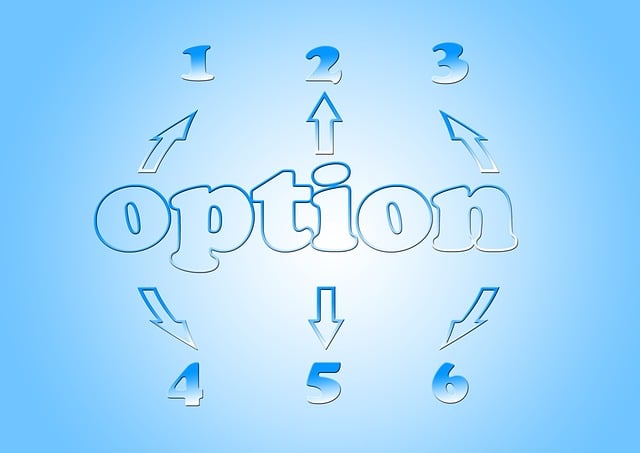 Quick auto tags payment options