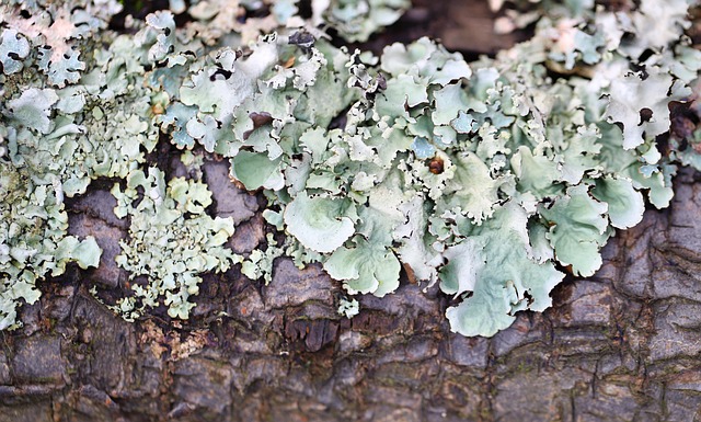 REG 166 lien release process