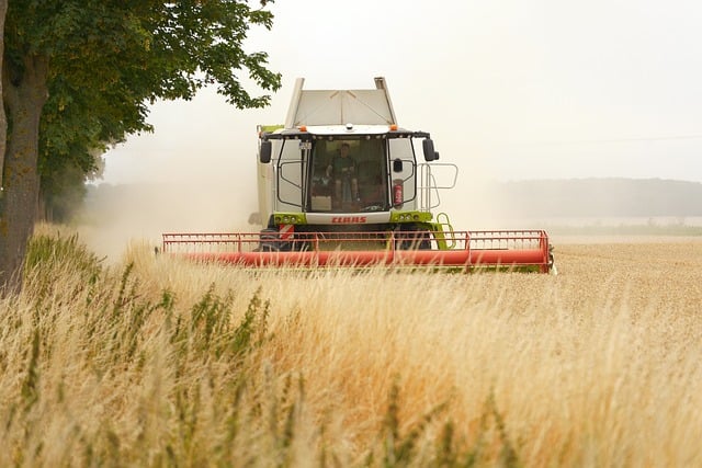 Expert Guidance on Riverside Mechanical Lien Issues