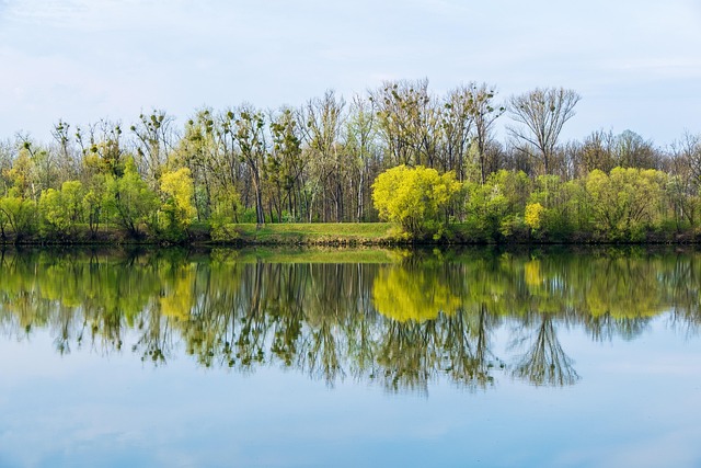 Riverside mechanical lien services