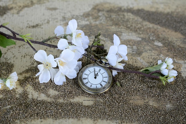 Short lien sale processing time