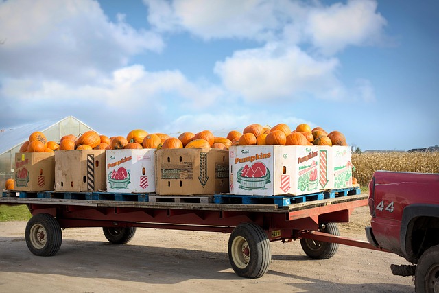 Optimize Moves: Discover Storage Solutions & Lien Laws