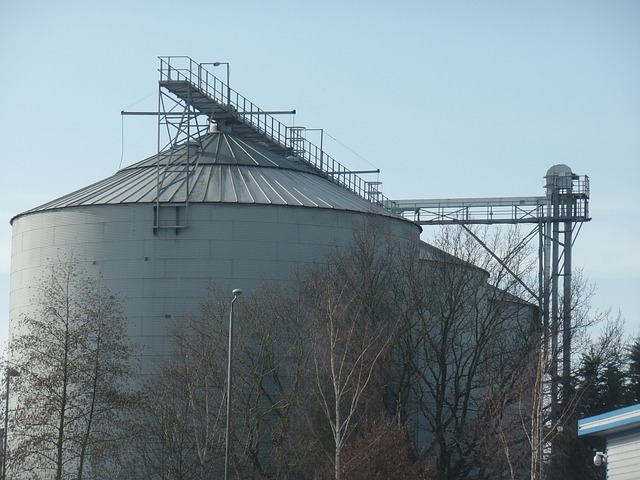 Storage facility lien