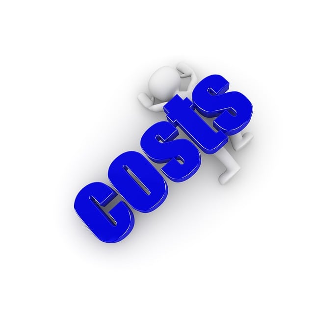 Damaged title replacement cost
