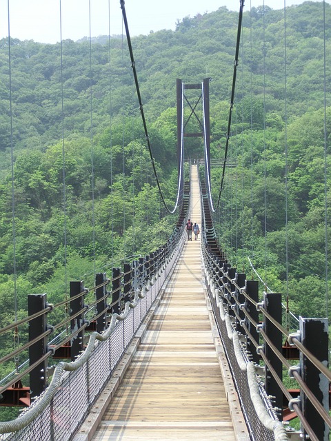 DMV suspension mailing process